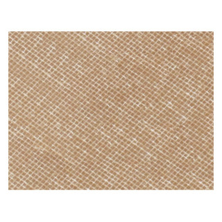 RESINA NOVAFLEX BEIGE (PODO THERMOFLEX) 7504 | Iberoclinic